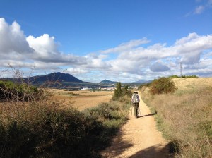 On the Camino between Lorca and Estella, Spain.